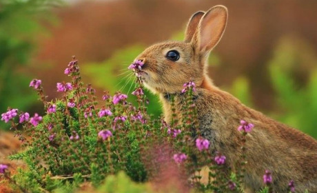 Прогноз погоди на 19 травня на Сумщині та в Україні