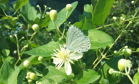 Збери більше серпневого сонечка на нових пазлах. На вас чекає гра!