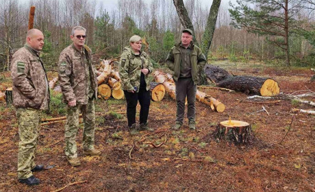 Селянський ліс чи нічий? Влада Вараського району ревізує проблемні лісові угіддя