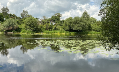 Проби води з пляжу на Случі у Звягелі: результати аналізу
