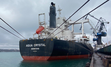 Южненський торговельний порт обробив спочатку року 50 суден (ФОТО)