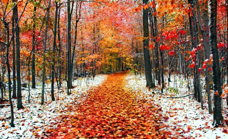 Нічні дощі, пориви вітру та мокрий сніг: яку погоду прогнозують синоптики найближчими днями