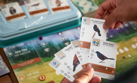 Настільні ігри в digital-епоху: актуально чи ні? Інтернет-магазин Gameland