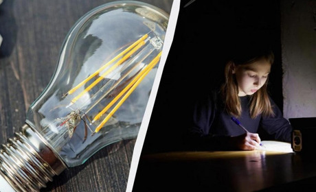 Графік відключень світла у Звягелі на вечір 6 квітня: оновлені дані від "Житомиробленерго"