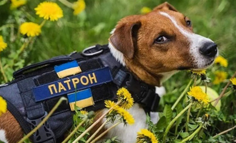 Росіяни можуть здійснювати атаки під чужим прапором біля Херсона: що це означає