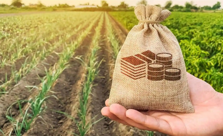 До уваги аграріїв Білопільщини: оголошено прийом заявок на державну фінансову підтримку