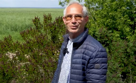 Замість води – 150 тисяч гектарів лісу: яка нині рослинність на Каховському водосховищі