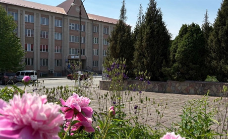 Афіша Городка: які події відбудуться з 14 по 18 липня