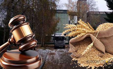 Вісім років із конфіскацією за розтрату майна "Хлібної бази": суд ухвалив вирок