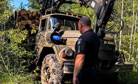 На Рокитнівщині спіймали водія вантажівки, який перевозив незаконно зрубані дерева