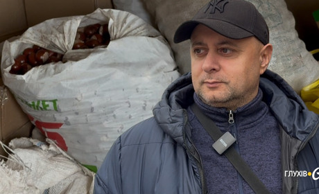 Глухівчани несуть каштани: хто збирає та скільки платять за кілограм