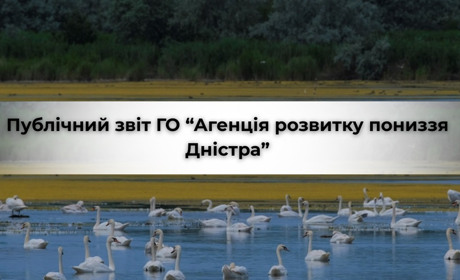 Публічний звіт ГО "Агенція розвитку пониззя Дністра": 2025 рік