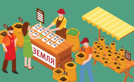 Не поспішайте продавати: скільки буде коштувати гектар землі з 1 липня