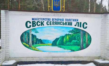Щоб не розікрали, 10 тисяч гектарів лісу ССВК «Селянський ліс» треба повернути в державну власність