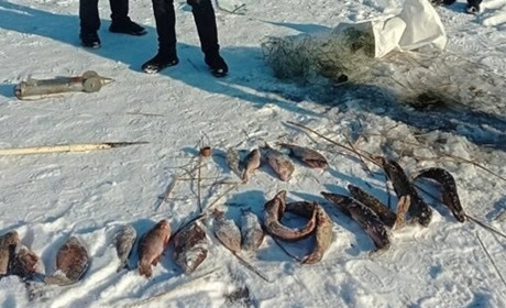 Браконьєр із Кременчука завдав збитків рибному господарству на 148 тисяч гривень