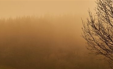 Синоптики попереджають про погіршення видимості та можливі «брудні дощі» 27-28 травня