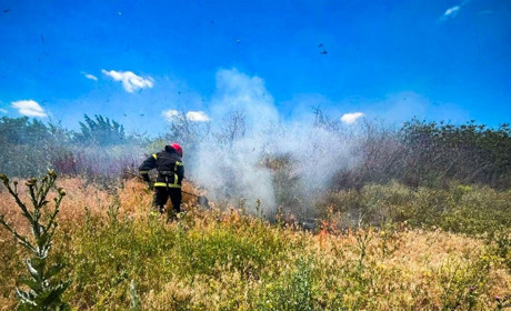 На вихідних очікується спека до +38 °C: у «Бузькому Гарді» оголошено пожежонебезпечний період
