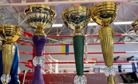 Чемпіонат з боксу, турнір з волейболу, змагання з дзюдо та настільного тенісу пройшли в Ізмаїлі