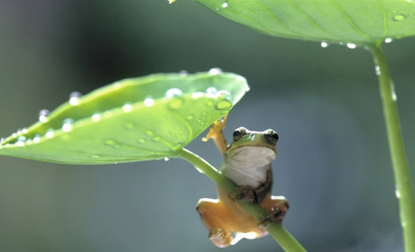 І знову - короткочасні дощі та грози: яку погоду прогнозують синоптики на початку наступного тижня