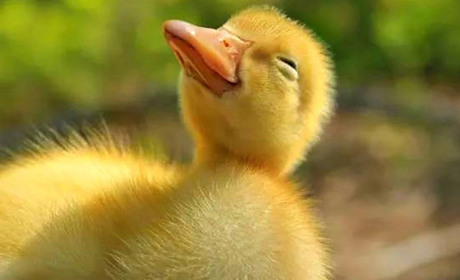 Одягати панамку чи готувати парасольку? Якої погоди очікувати жителям Білопільщини