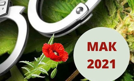 Триває щорічна оперативно-профілактична операція «Мак»