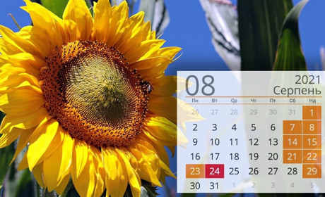 Чотири вихідних підряд до Дня Незалежності: календар свят на серпень 2021