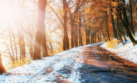 Днями засніжить: прогноз погоди від синоптиків на 14-16 листопада