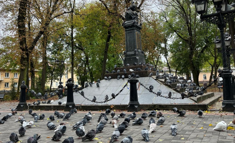 Чим здивує нас погода. Прогноз