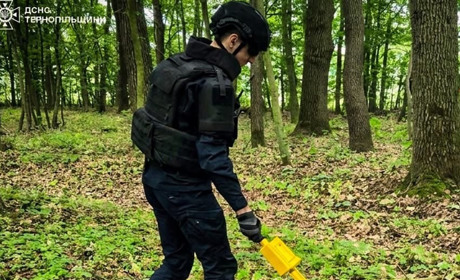 У лісі на Кременеччині знайшли боєприпас часів Другої світової війни