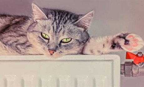 У Корюківці завершився опалювальний сезон і призупинив роботу міський автобус