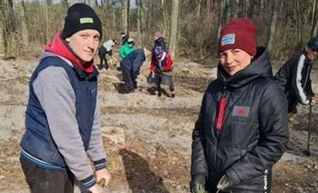 У Гадячі триває висадка зелених насаджень