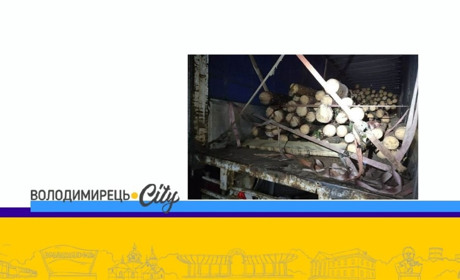 На Зарічненщині прикордонники зупинили авто із незаконною деревиною. У чому суть?