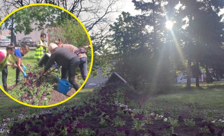 У центрі Берестина «розлився» квітковий струмок — у місті з’явилась нова локація