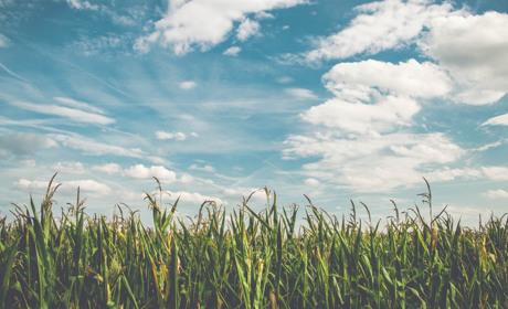 Увлажнители и очистители воздуха