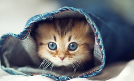 Как провести в Мелитополе выходные 12-13 января