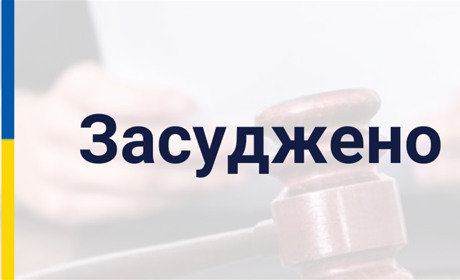Житель Славутчини відбуватиме покарання за незаконне заволодіння транспортним засобом