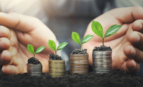 «Чия земля? – Калитчина». Як ринок землі вплине на селян Володимиреччини і чому «Свобода» – проти