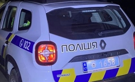 Поблизу села на Переяславщині сталося лобове зіткнення Audi і Tesla: хроніка поліції