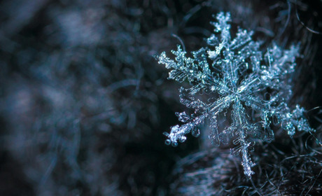 Гороскоп на тиждень з 19 по 26 січня 2026 року: що зірки нам приготували