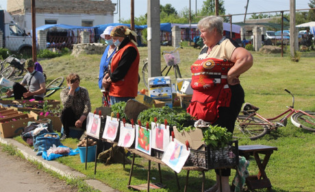 Опитування: Влітку читачі газети "Сільська новина" хочуть читати про городні роботи та консервацію