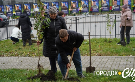 Жива пам’ять: у центрі Сатанова з’явилася алея сакур на згадку про загиблих захисників