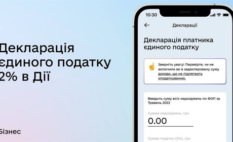 Відтепер ФОПи можуть подати декларацію в «Дії»: як це зробити