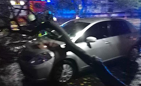 Поваленное штормовым ветром дерево блокировало подъезд в Измаиле и повредило автомобиль