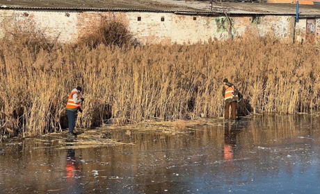 Працівники ВУКГ прибирають береги річки Альта... але не всієї