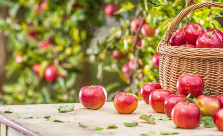 Погода на 3-5 серпня на Сумщині та в Україні: що прогнозують синоптики