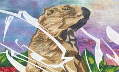 Підсумки 2018 року. У Троїцькому тепер є свій охоронець — мирний та хазяйновитий Байбак