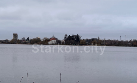 Погода у Старокостянтинові на 19-25 лютого: синоптики прогнозують "плюсову" температуру та дощі