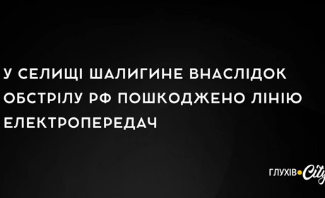 У селищі Шалигине внаслідок обстрілу рф пошкоджено лінію електропередач: наслідки за минулу добу
