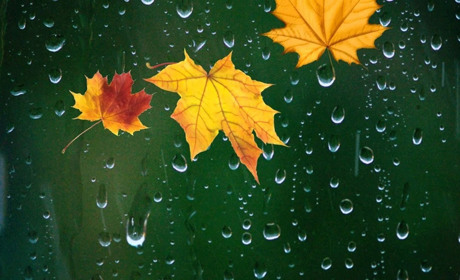 Буде хмарно і трохи дощитиме: прогноз погоди на початку наступного тижня