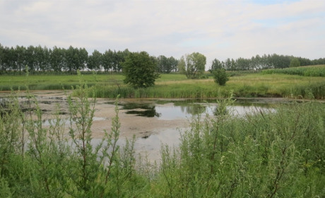 Згадаємо добрим словом своїх сусідів